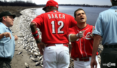 dusty baker joey votto argue