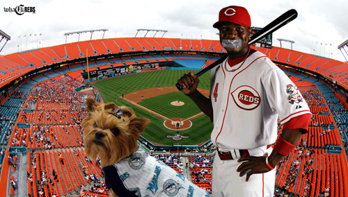 brandon phillips don't say it