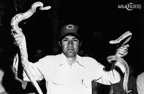 scott rolen snakes